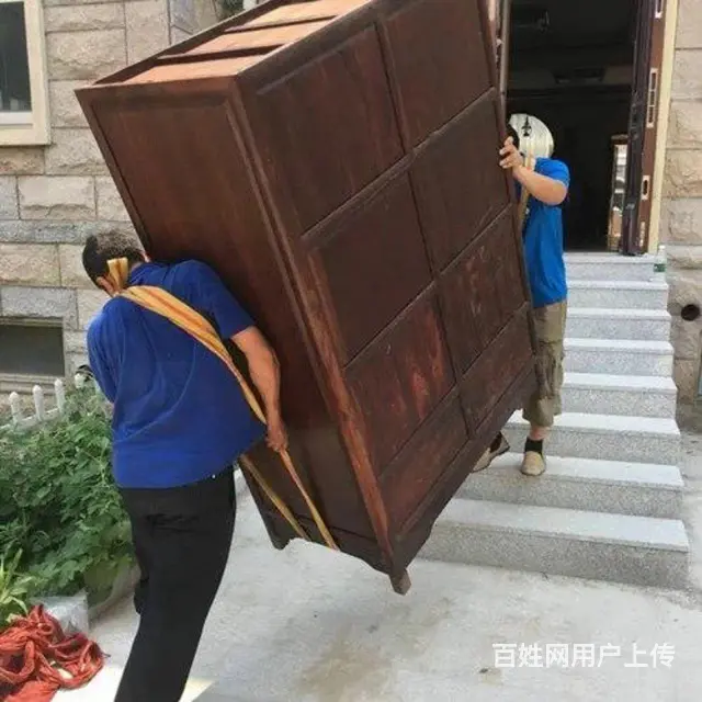 矣师 - 图片 3