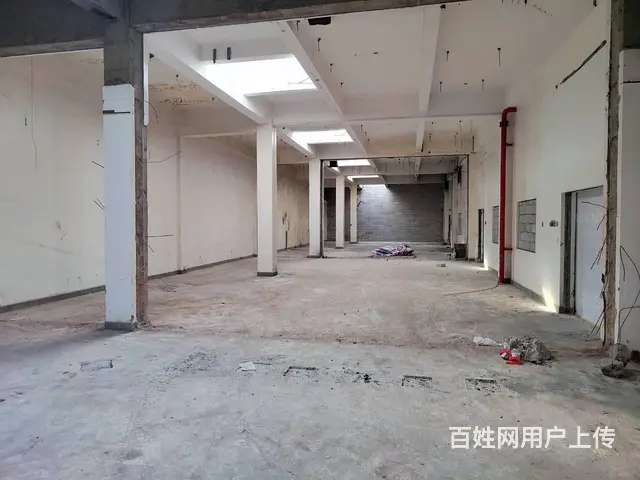 珠海金嘉创意谷旁 200-3000㎡运动场馆 25元起 - 图片 6