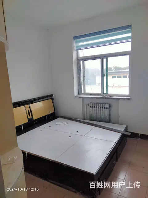青年公园房屋出租的图片