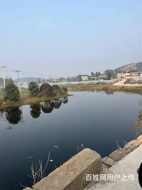 中江县通济镇140亩土地出租 - 图片 7