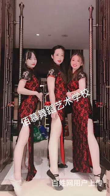 舒城哪里可以学舞蹈考证就业 - 图片 3