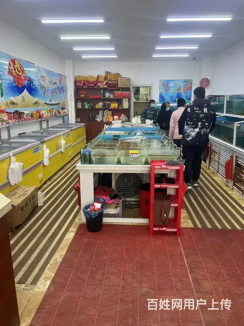 【搞定了！】道里群力第五大道小区门口海鲜店出兑 - 图片 9