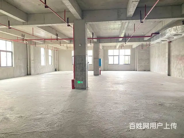 （房东直租）中青路佳海园区775平厂房优价出租，可分租 - 图片 5