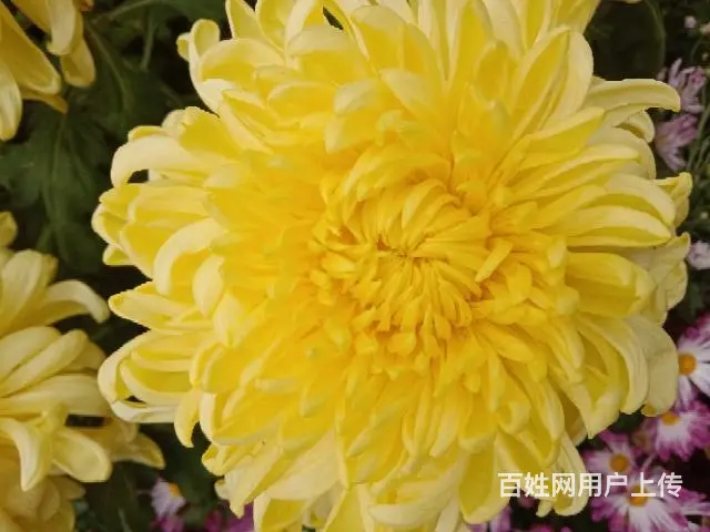 温馨家园 - 图片