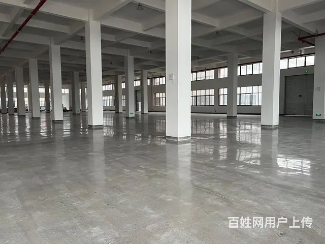 出租新建标准厂房4层12000平方可分租 - 图片 2