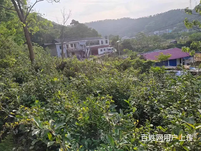 （老板本人）岳麓区含浦附近王家湾仓库住房菜地低价出租6321 - 图片 9