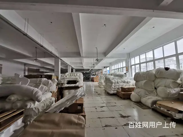尚湖冶塘独栋厂房1楼、2楼每层1250平，可分租，场地超大。 - 图片 5