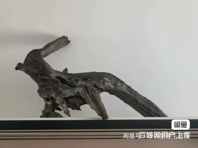 鱼缸沉木 - 图片
