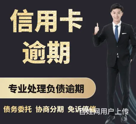 莱芜*花呗*债务重组 - 图片 1