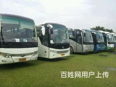 邳州专业企业租车一天多少钱，新车出租 - 图片 1