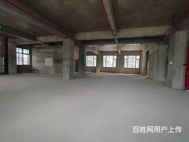 （51旺铺推荐）南沙路整栋4351平招商 - 图片 4