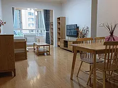 邦泰铂仕公馆精装修两室一厅一卫原木风