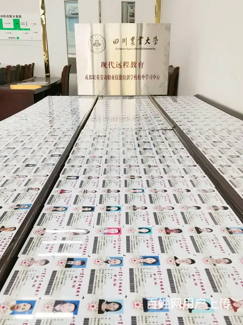 成都成人在职学历提升培训中心 - 图片 12