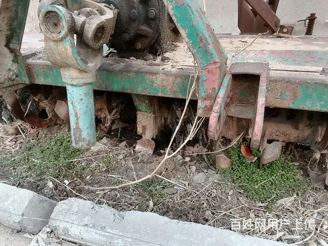 旋耕机扶沟梨 - 图片 3