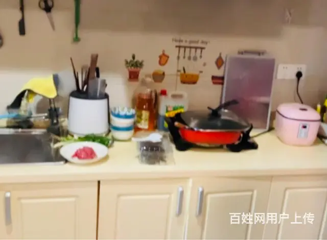 个人短长租都可 价格可谈 上海地铁11线100米左右很近 - 图片 3