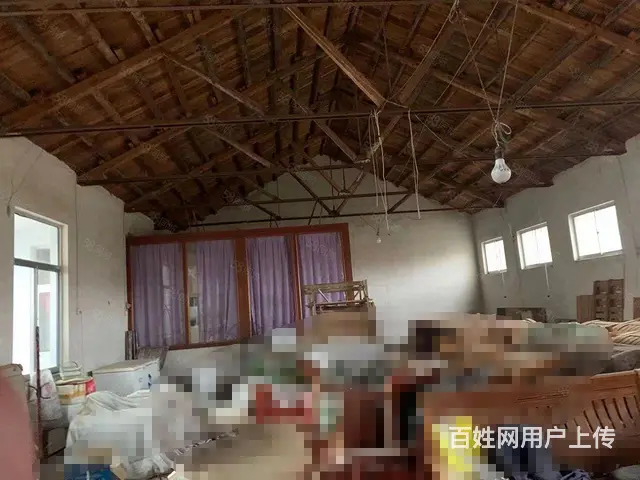 （新房源）初村独门独院一楼厂房出租 - 图片 5