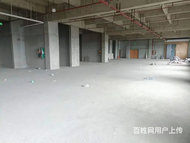 （51旺铺推荐）滨江路4200平商铺招商（面积可选） - 图片 6