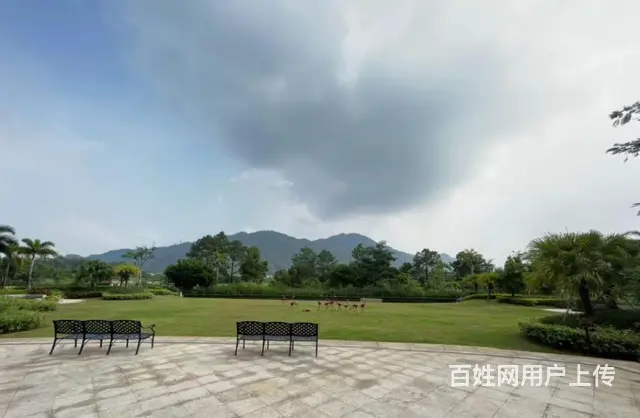 翠湖香山玉兰苑 居家3房90平245万 中间楼层 看房方便 - 图片 11