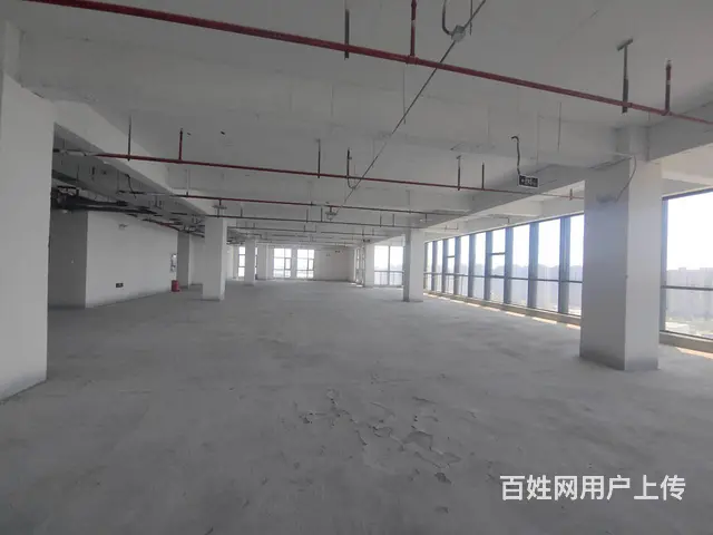 金龙湖地铁口1000平明阳广场一手纯办公现房 - 图片 4