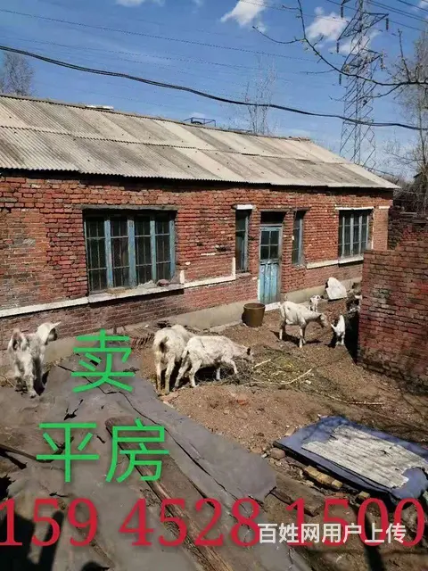 卖平房 - 图片 1