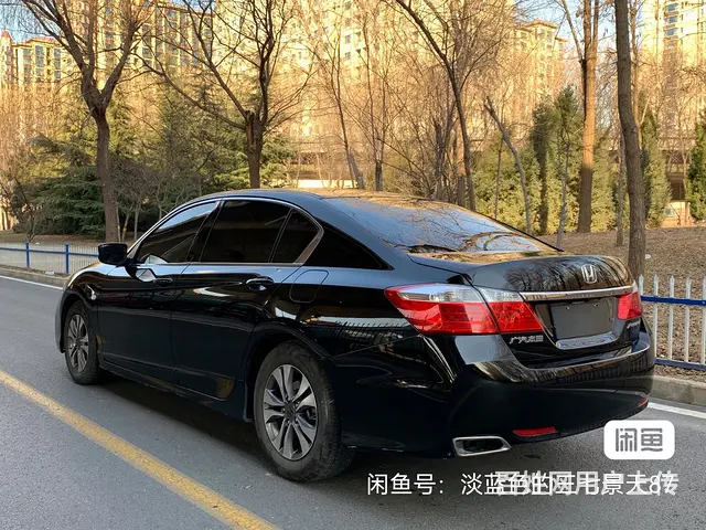 16雅阁 - 图片 3