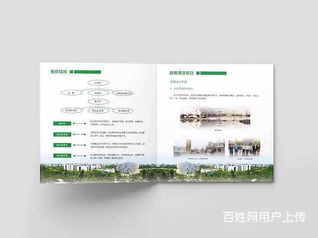 淄博平面设计，广告设计，vi，logo，画册设计 - 图片 9