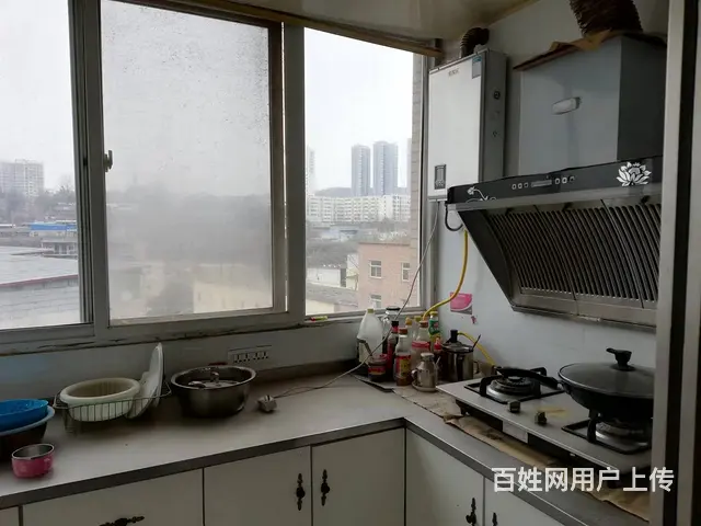 植物园小区 普通住宅 精装修双气双证带地下室 - 图片 5