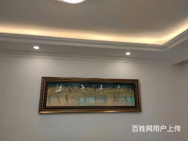 专业电工 电路疑难问题处理 灯具 电视挂架钻眼安装 - 图片 10