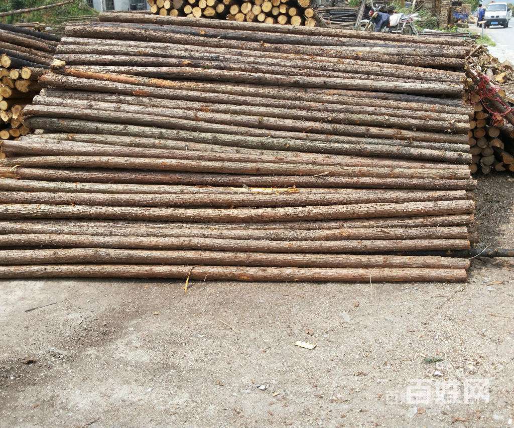 郑州各种规格的杉木杆批发价钱合理