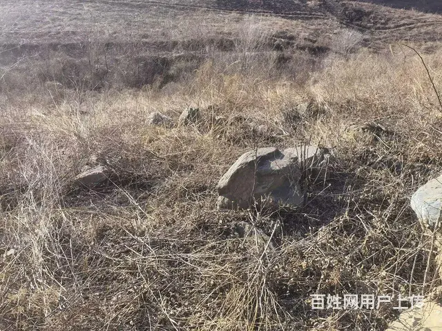 绿色大石头 - 图片 3
