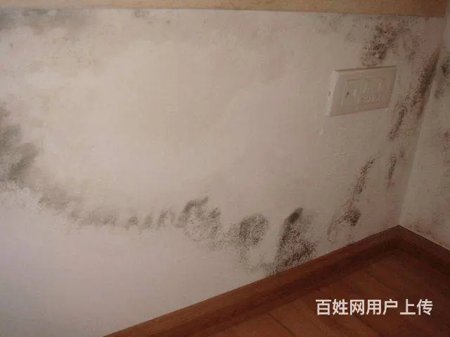 海盐厂房漏水维修-家庭房屋防水补漏，科技补漏 - 图片 4