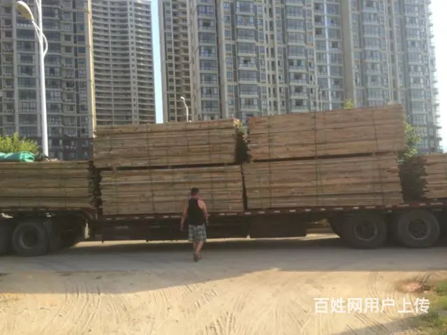 泉州最大旧木材交易基地 - 图片 2