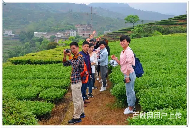 11月茶艺培训班21日天晟中国茶学系统培训班 - 图片 8