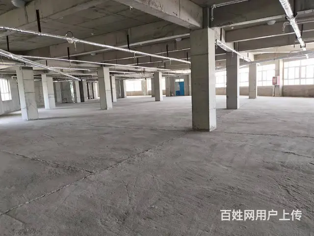 B个人一56号小区多套商铺对外出租 - 图片 4