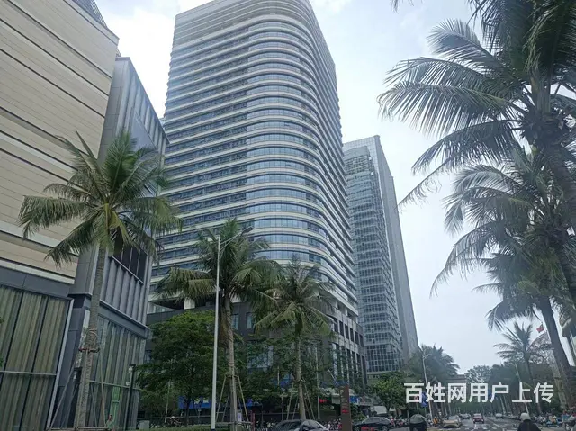 （51旺铺推荐）国贸滨海大道南洋国际大厦招商 - 图片 3