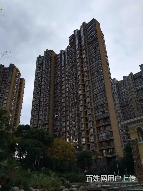 九洲花园一期，东边户，两房，精装修，拎包入住，满五 - 图片 11