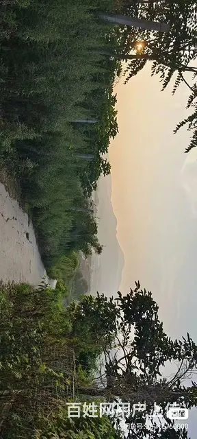 转让承包地，租赁也可以，温泉镇 - 图片 8