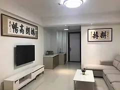 吾悦广场一室一厨一卫电梯房空调热水器电视冰箱洗衣机家具精装修