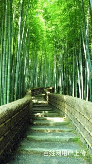 太和区巧鸟办事处四道沟 - 图片