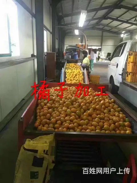 出国劳务费用低 - 图片 6