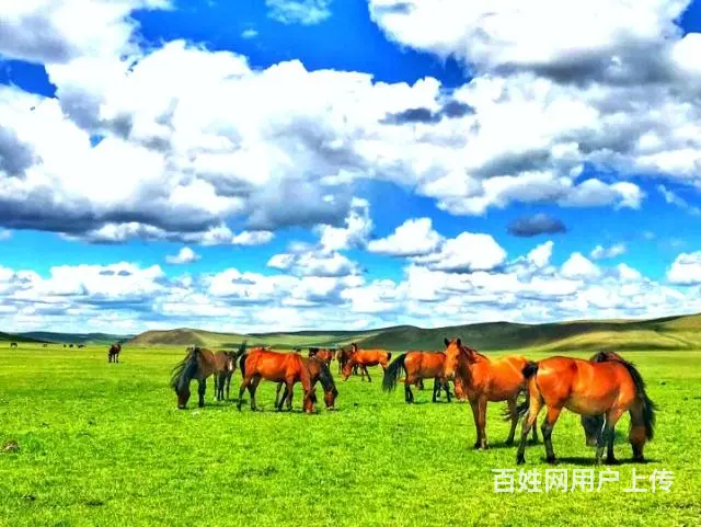 呼伦贝尔包车师傅排名租车拼车品质包车 - 图片 7