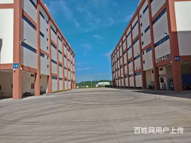 海口仓库厂房招租 - 图片 7