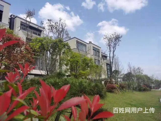 长沙南绿心旁联谊云庐新房出售 - 图片 4
