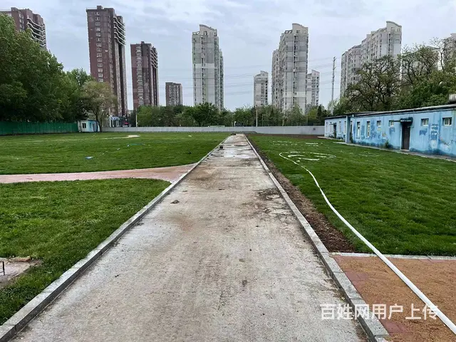 沈阳吉林唐山内蒙古绿化草坪足球场高尔夫高档小区庭院 - 图片 6