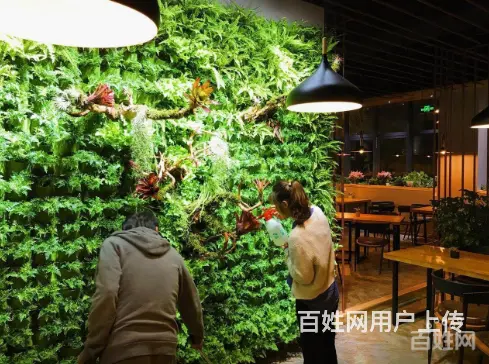 专业养护公司，家庭，大型工程鱼缸，兼卖鱼缸 - 图片 3