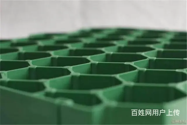 珠海哪里有塑料植草格5公分花口平口现货供应 - 图片 3