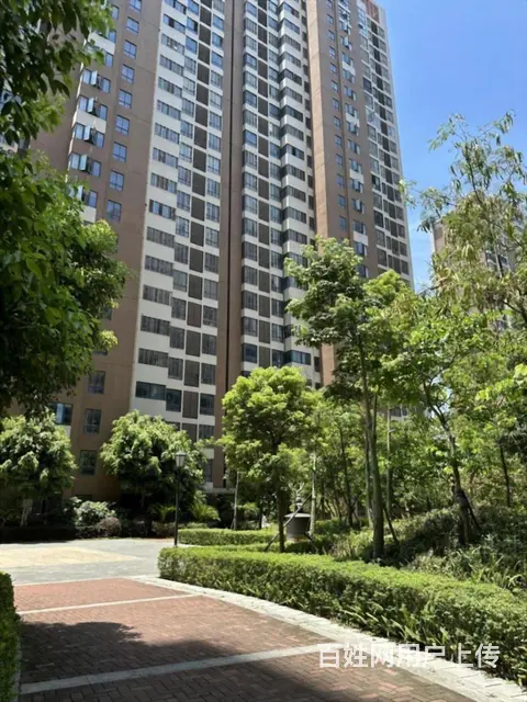 新加坡城边 中骏蓝湾悦庭边  正规一房一厅一阳一卫 - 图片 9