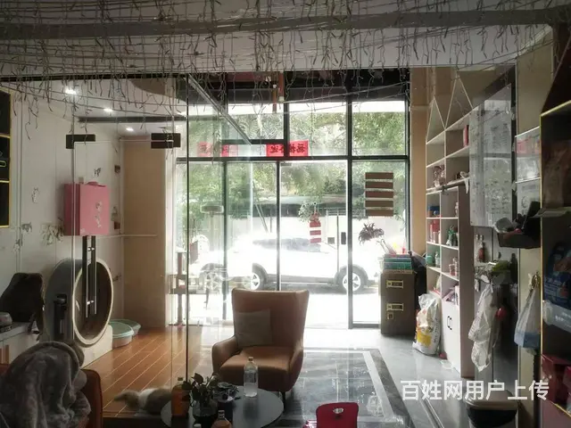 （51旺铺推荐）龙昆南悦城135平宠物店转让 - 图片 8
