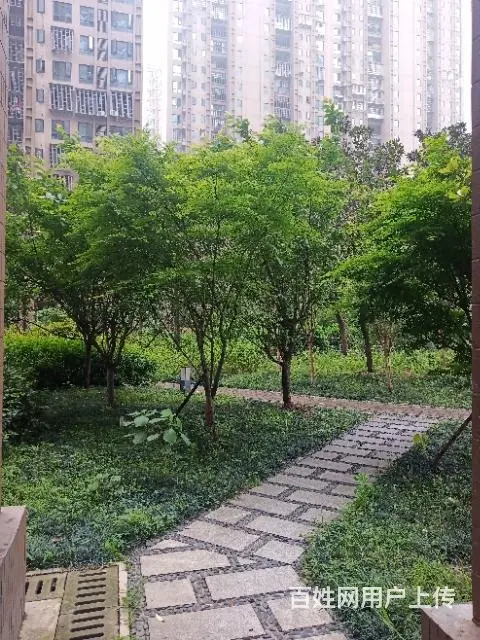 东宜兰园单间带厨卫出租 - 图片 1