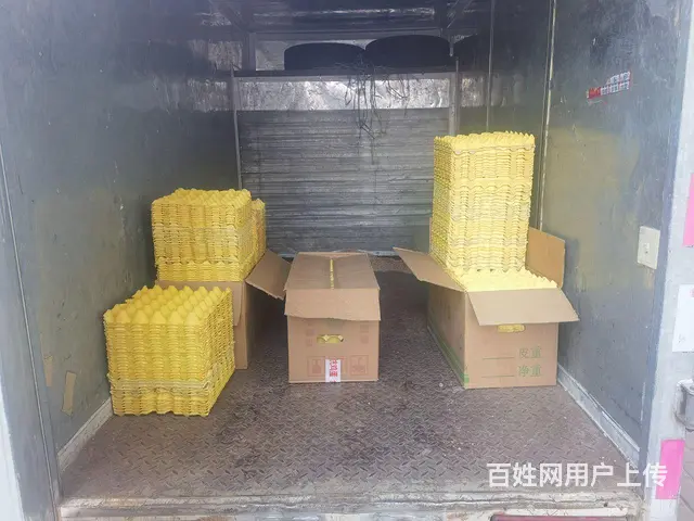 16年厢式货车 强险 三者200万都全年的 - 图片 3